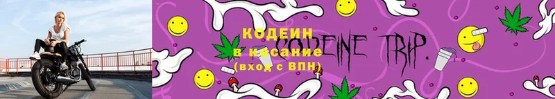 Кодеин напиток Lean (лин)  блэк спрут ТОР  Калач  купить наркотик 